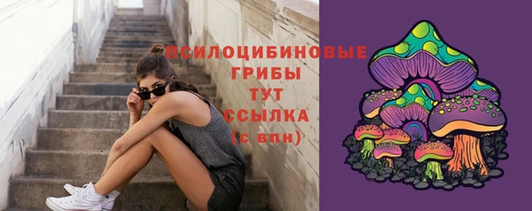 прущие крисы Баксан