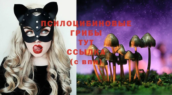 наркотики Белокуриха
