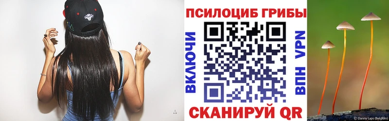 Псилоцибиновые грибы Psilocybe  Разумное 