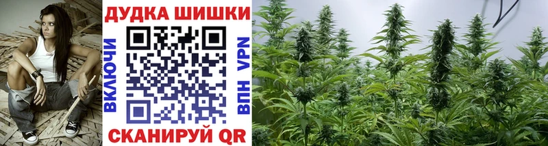 Бошки Шишки планчик  Разумное 